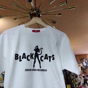 MサイズクリームソーダＴシャツBLACK CATSロゴTシャツ白色！CREAMSODAロカビリーブラックキャッツビスキャッツピンクドラゴンCKBマジックの画像1