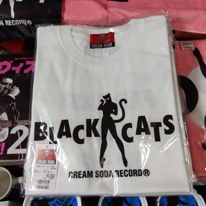 MサイズクリームソーダＴシャツBLACK CATSロゴTシャツ白色！CREAMSODAロカビリーブラックキャッツビスキャッツピンクドラゴンCKBマジックの画像5