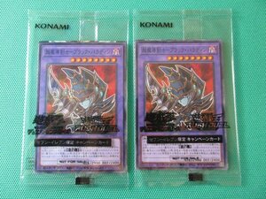 遊戯王　711C-JP003　ノーマルパラレル　超魔導剣士－ブラック・パラディン　未開封 ×2　①