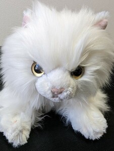 Sun Lemon Kneeko M Size Persian White Plush P-6232 Cat Cat Nekuguru Заживающий кот кошка кошка