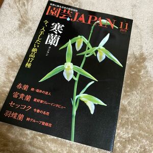 園芸JAPAN 2018年11月号　寒蘭 春蘭 セッコク 羽蝶蘭 ※ 自然と野生ラン