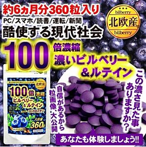 期間限定価格！！　スマホ疲れの目に☆北欧産☆『100倍濃縮 ビルベリー＆ルテイン コンドロイチン 約6ヵ月分 360粒』×1袋♪