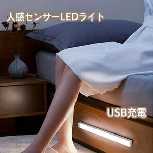 地震による停電時にも大活躍！　USB充電『人感センサーLEDライト 3モード切替 20cm （白色） 』× 1本