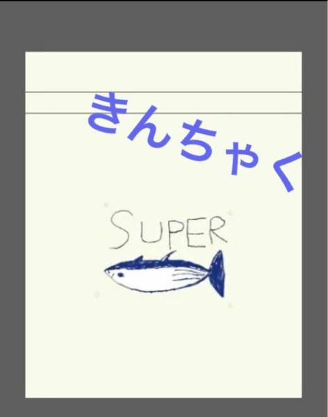 【新品】BTS JIN ジン super tuna 巾着