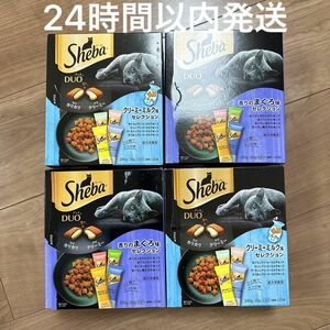 【24時間以内発送】 旅するシーバ デュオ シーバ 4箱セット