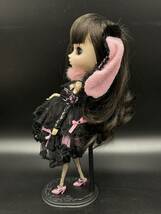 ２５９　希少　当時物　ドール　DOLL　きせかえ人形　cheonsang cheonha プーリップ Pullip クララ_画像4