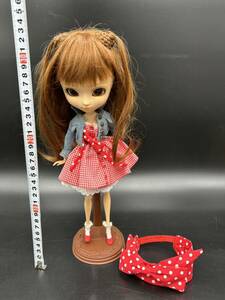 ３１５　希少　当時物　ドール　DOLL　きせかえ人形　cheonsang cheonha プーリップ Pullip 