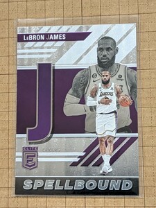 レブロン・ジェームズ【NBA2023-24PANINI DONRUSS ELITE BASKETBALL】LeBron JAMES #36 インサート SPELLBOUND