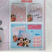 東京ディズニーリゾート ミッキー ミニー 桜 色紙 付箋 クリアホルダー ケース_画像8