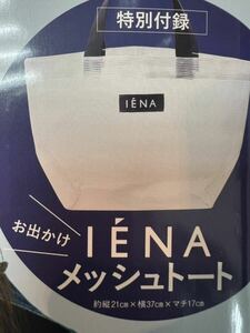 LEE付録IENA お出かけメッシュトート 