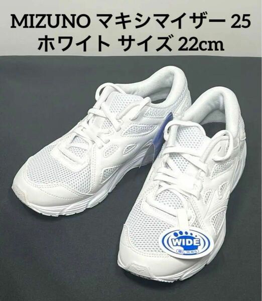 MIZUNO マキシマイザー 25(ランニング) 22cm K1GA2302