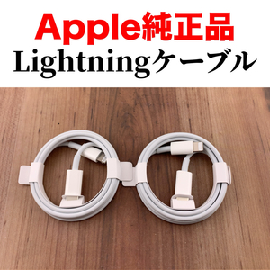 iPhone 充電器 純正 タイプCライトニングケーブル Apple正規品