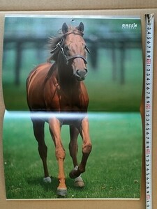 競馬 グリーンチャンネル カレンダー 2009年 非売品 [アグネスタキオン チヨノオー マックイーン ウオッカ スカーレット シービー テイオー