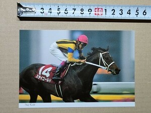 競馬 絵はがき JRA 2000年有馬記念出走馬ポストカード ステイゴールド （目黒記念 武豊