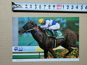 競馬 絵はがき JRA 2000年有馬記念出走馬ポストカード ダイワテキサス （新潟記念 北村宏司