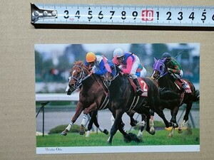 競馬 絵はがき JRA 2000年有馬記念出走馬ポストカード メイショウオウドウ （大阪杯 飯田祐史 安藤勝己ロードプラチナム ジョービッグバン