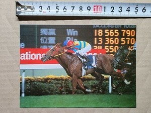 競馬 絵はがき 非売品ポストカード JRA アグネスデジタル 四位洋文 香港カップ・2001年