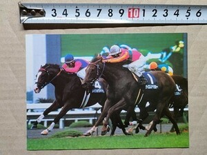 競馬 絵はがき 非売品ポストカード JRA テイエムオペラオー 第41回宝塚記念・2000年（内メイショウドトウ）