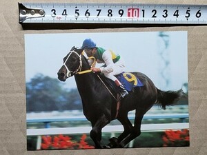 競馬 絵はがき 非売品ポストカード JRA ミスターシービー 吉永正人 菊花賞・昭和58年