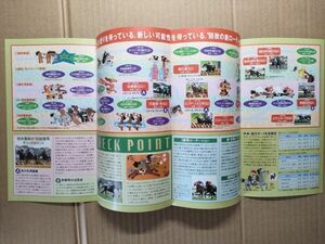 競馬 JRA パンフ 1996 秋G1新ローテーション [マヤノトップガン菊花賞までの道のり 秋華賞創設・エリザベス女王杯条件変更