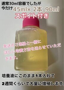 メダカ 針子 稚魚の餌に！！ ビネガーイール 種水　通常の1.5倍量45ml+45ml(合計90ml) 培養液　今だけスポイト付き