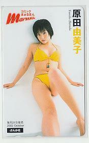 特1-x330 原田由美子 テレカ