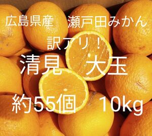 訳アリ！広島県産 瀬戸田　清見　きよみ　 みかん　約10kg 55個