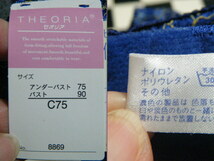 THEORIA　ブラジャー・ショーツ　サイズC75・M　D5691　未使用タグ付き　青レース　セオリア_画像3