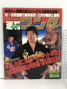 35 週刊ゴング 1990.6.14 No.311 日本スポーツ出版社 プロレス 天龍源一郎 スタン・ハンセン 武藤敬司 長州力