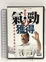 DVD 神意拳 気・勁の獲得 力を超えた武術 練功が創る究極の身体! BABジャパン_画像1