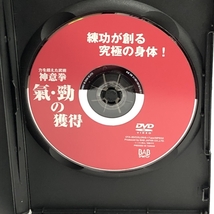 DVD 神意拳 気・勁の獲得 力を超えた武術 練功が創る究極の身体! BABジャパン_画像3