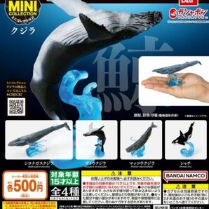 【２種セット】いきもの大図鑑ミニコレクション マッコウクジラ、シロナガスクジラ