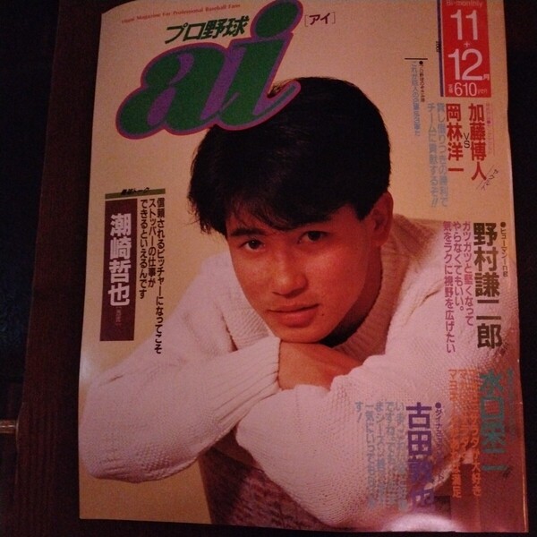 送料込み プロ野球 ai アイ 1991年 11+12月号