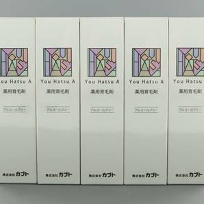 LLCU6-3-2 You Hatsu A 湧髪A 薬用育毛剤 アルコールフリー 育毛剤 ヘアケア 男女兼用 120ml 5本セット 日本製 保管品 未開封 未使用の画像1