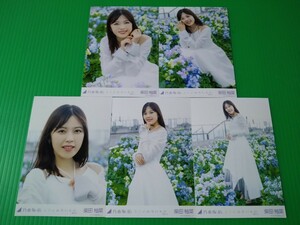 乃木坂46 【柴田柚菜】 ここにはないもの MV 個別 生写真 ５種コンプ 2023年 1月 webshop限定