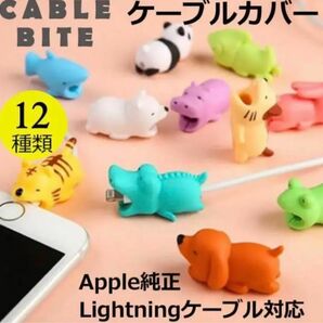 ケーブルバイト　２個セット　 iPhone 充電ケーブル カバー 断線防止 保護