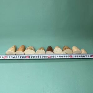 天然素材 加工用素材 カット材先素材500g の画像3