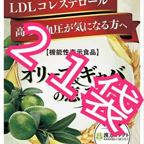 和漢の森 オリーブ&ギャバの恵み 30日分 60粒入 21袋