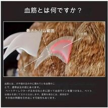 ★新品 ペット便利グッズ！ 切りやすいと人気！ 猫と犬用のLEDライト付き爪切り LEDライトで安全♪ レビューあり 実績あり品1.3万個 CS-b31_画像4