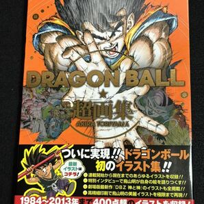 初版 鳥山明 ドラゴンボール超画集 AKIRA TORIYAMA DRAGON BALL Illustrations ※現状渡しの画像6