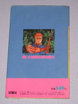 ★☆ FC 闘いの挽歌 必勝攻略法 第１刷発行 ファミコン 攻略本 ☆★_画像5