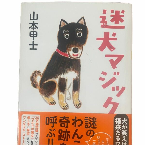 迷犬マジック 山本甲士