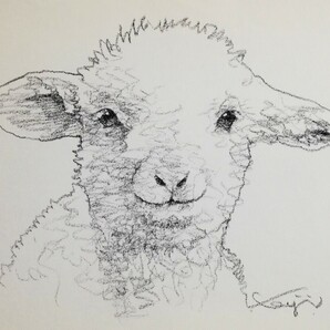 松原健治 ドローイング 原画「羊の赤ちゃん01」A4 の画像2