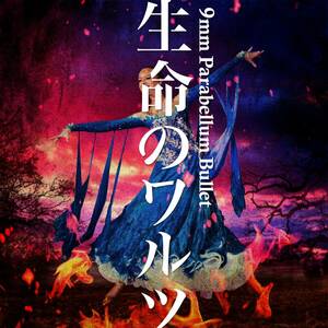 生命のワルツ(初回限定盤)(DVD付)(中古品)