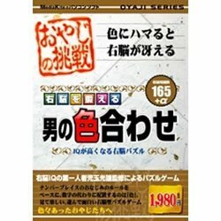 おやじの挑戦 右脳を鍛える男の色合わせ(中古品)