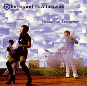 Dream on Dreamer / Snake Hips(中古品)