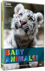 Baby Animals [DVD](中古品)