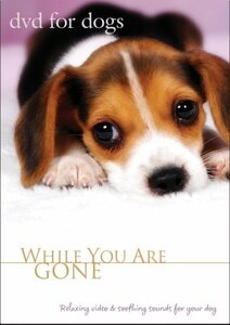 DVD For Dogs : While You Are Gone(中古品)
