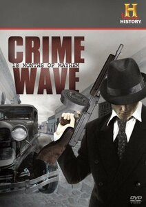 Crime Wave: 18 Months of Mayhem [DVD](中古品)