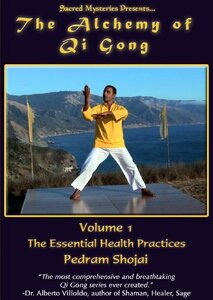 Alchemy of Qi Gong 1: Essential Health Practices [DVD](中古品)